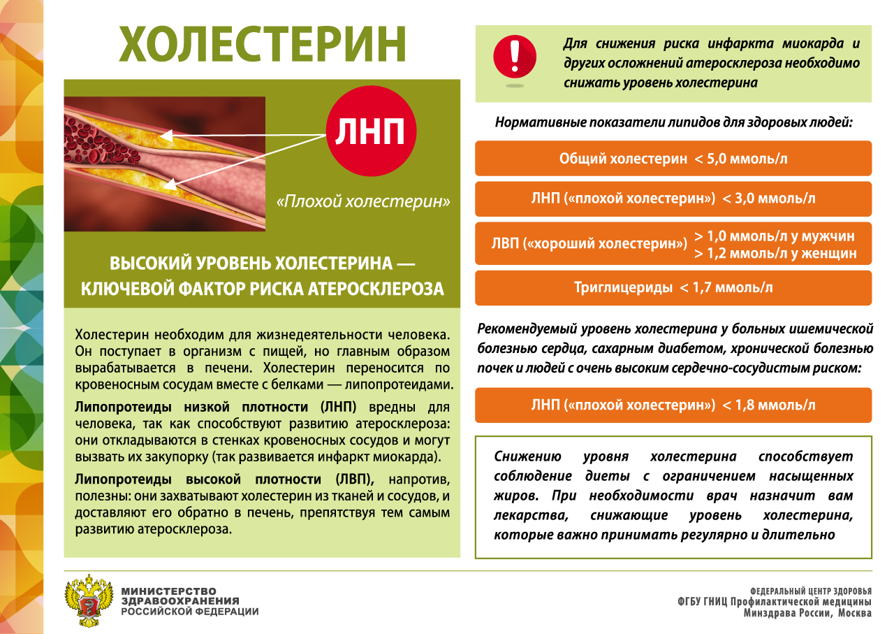 Факторы риска атеросклероза картинки